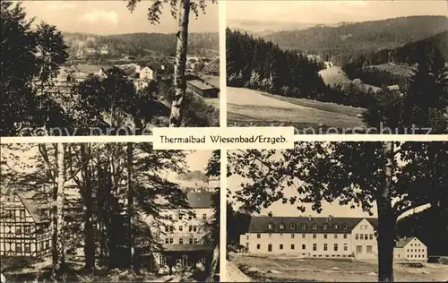 Wiesenbad Teilansicht Kurhaus Park Kat. Thermalbad Wiesenbad