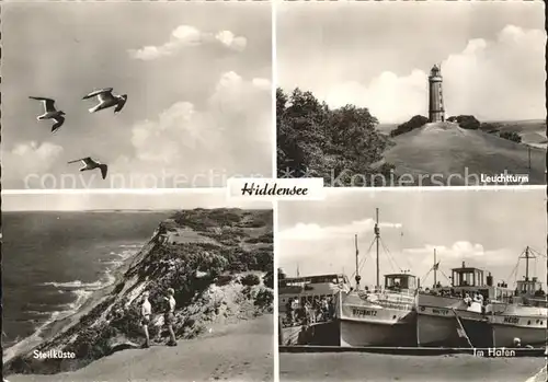 Insel Hiddensee Moewen Leuchtturm Steilkueste Hafenpartie Kat. Insel Hiddensee