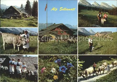 Alt St Johann Alp Sellamatt Teilansichten Trachten Alpenflora Almabtrieb Kat. Alt St Johann