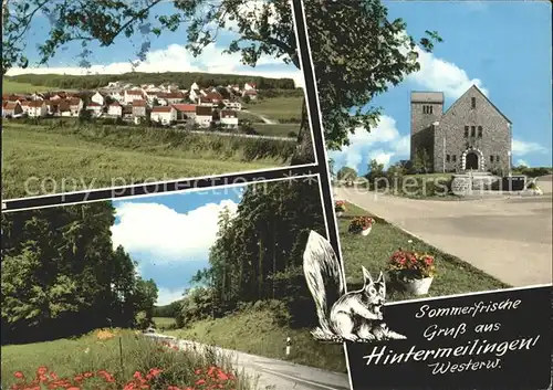 Hintermeilingen Gesamtansicht Kirche Landstrasse Eichhoernchen Kat. Waldbrunn (Westerwald)