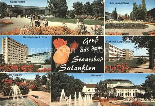 Bad Salzuflen Konzerthalle Kurklinik Kurpark Leopoldbad Kurhaus Wasserspiele Kat. Bad Salzuflen