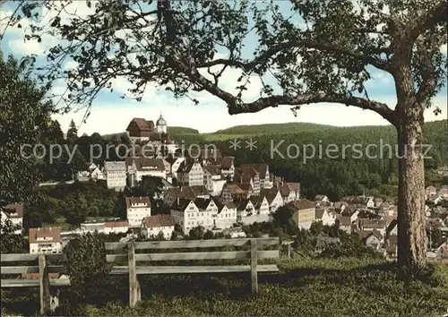 Altensteig Schwarzwald Ortsansicht mit Kirche Luftkurort Schwarzwald / Altensteig /Calw LKR