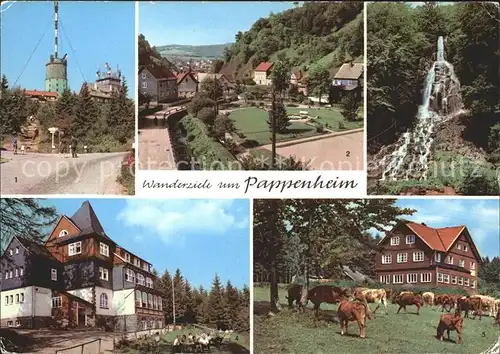 Pappenheim Thueringen Trusetaler Wasserfall Grosser Inselberg Berghotel Ebertswiese Kat. Floh Seligenthal