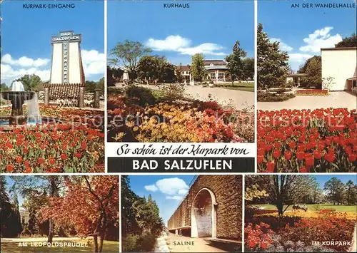 Salzuflen Bad Kurpark Kurhaus Wandelhalle Leopoldsprudel Saline Kat. Bad Salzuflen