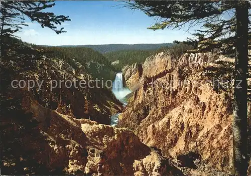 Yellowstone National Park Grand Canyon  Kat. Yellowstone National Park