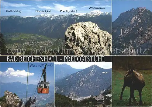 Bad Reichenhall Predigtstuhl Watzmann Seilbahn  Kat. Bad Reichenhall