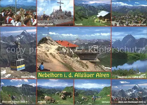 Oberstdorf Nebelhornbahn Almkuehe Schneck Gleitweg Kat. Oberstdorf