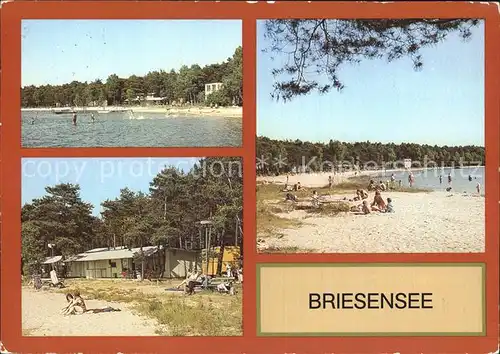 Briesensee Luebben Strand  Kat. Neu Zauche