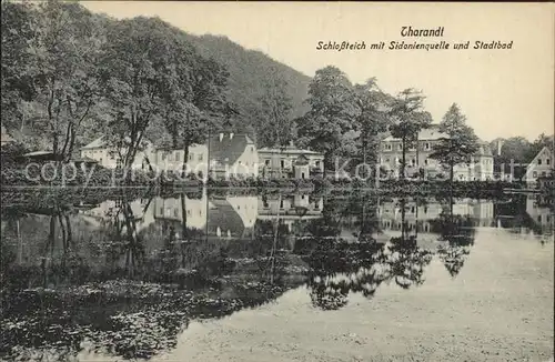 Tharandt Schlossteich Sidonienquelle Stadtbad Stempel Wollmann Sammlung Kat. Tharandt