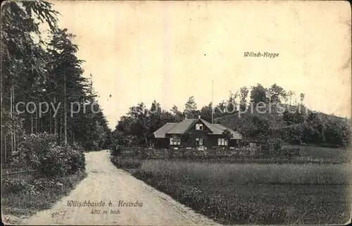 Kreischa Wilischbaude Wilisch Koppe Kat. Kreischa Dresden