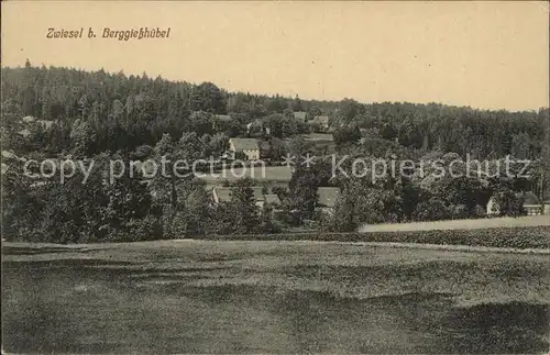 Zwiesel Bad Gottleuba Berggiesshuebel Teilansicht Kat. Bad Gottleuba Berggiesshuebel