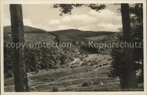 Wernigerode Harz Salzbergtal mit Kaiserturm Kat. Wernigerode