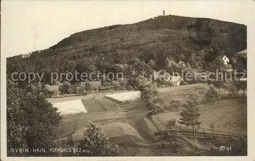 Oybin Blick zum Hochwald Zittauer Gebirge Kat. Kurort Oybin