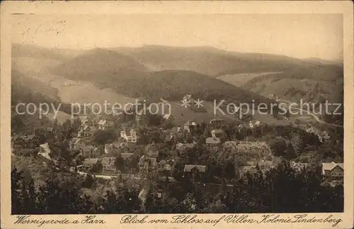 Wernigerode Harz Villen Kolonie Lindenberg Kat. Wernigerode