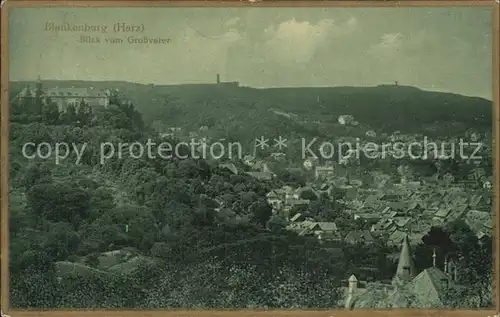 Blankenburg Harz Blick vom Grossvater Kat. Blankenburg