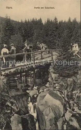 Brocken Harz Parie am Eckerloch Kat. Wernigerode