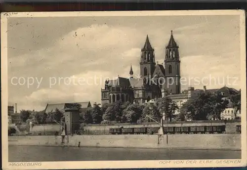 Magdeburg Dom Elbe Kat. Magdeburg