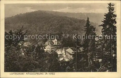 Maegdesprung Luftkurort Harz Kat. Harzgerode