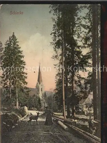 Schierke Harz Kirche Wildfuetterung Kat. Schierke Brocken