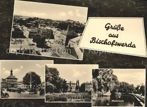 Bischofswerda Marktplatz Muehlteich Kat. Bischofswerda