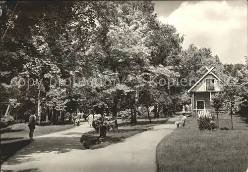 Friedrichsbrunn Harz Kurpark Kat. Friedrichsbrunn