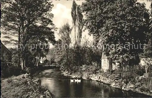 Pockau an der schwarzen Pockau Kat. Pockau Floehatal