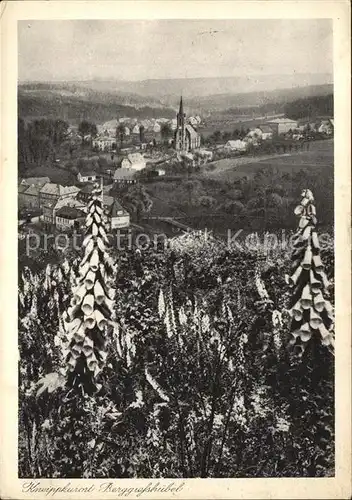 Berggiesshuebel Teilansicht mit Kirche Kat. Bad Gottleuba Berggiesshuebel