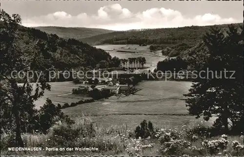 Weidenhausen Gladenbach Partie an der Waldmuehle Kat. Gladenbach