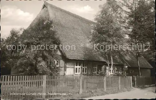 Walsrode Lueneburger Heide Heidemuseum Kat. Walsrode