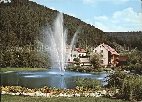 Enzkloesterle Hotel Waldhain Post Fontaene Kat. Enzkloesterle