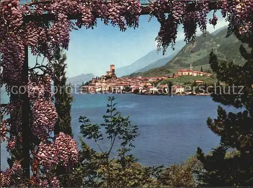 Malcesine Lago di Garda Panorama Kat. Malcesine