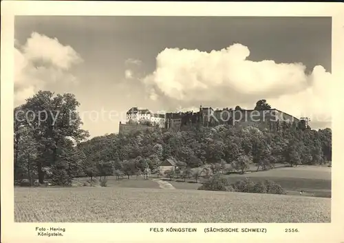 Koenigstein Saechsische Schweiz Fels mit Festung Kat. Koenigstein Saechsische Schweiz