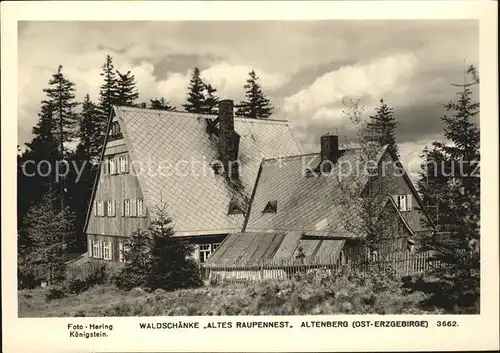 Altenberg Dippoldiswalde Waldschaenke Altes Raupennest Kat. Altenberg