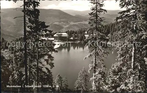 Mummelsee  Kat. Seebach