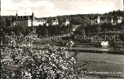 Diez Lahn Schloss Oranienstein Kat. Diez