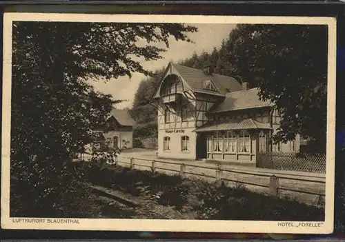 Blauenthal Erzgebirge Hotel Forelle Eibenstock x / Eibenstock /Erzgebirgskreis LKR