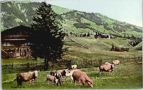 Adelboden Adelboden  * / Adelboden /Bz. Frutigen