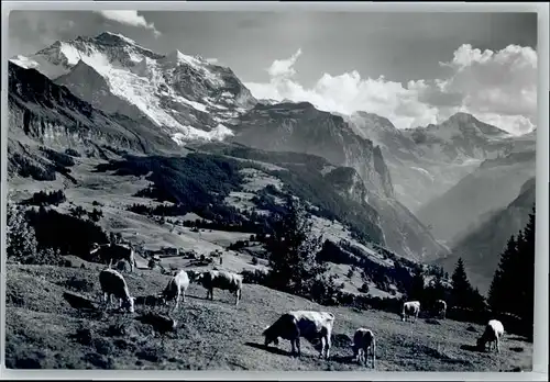 Wengen BE Wengen  * / Wengen /Bz. Interlaken