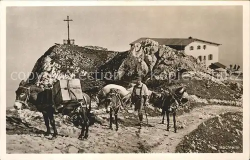 Hochfellnhaus Mann mit Eseln / Bergen /Traunstein LKR