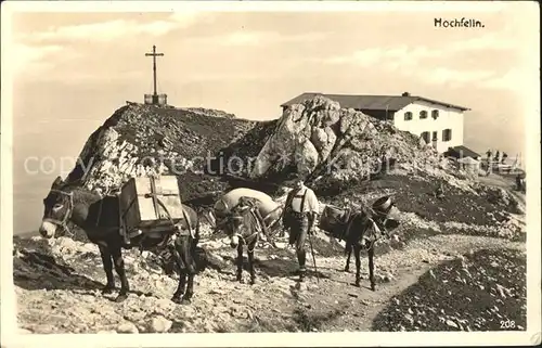 Hochfellnhaus Mann mit Eseln / Bergen /Traunstein LKR