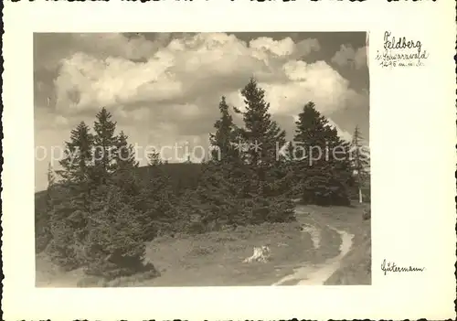 Foto Gutermann Feldberg Schwarzwald / Loerrach /Loerrach LKR