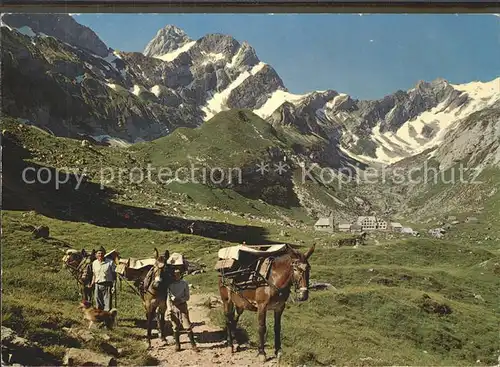 Meglisalp Altmann Saentis Lastesel Rotsteinpass Lisengrat / Altmann /Rg. Saentis