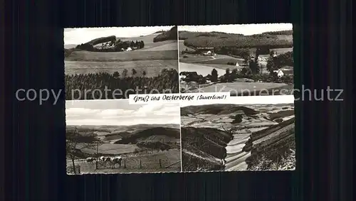 Oesterberge Landschaft / Wenholthausen /Hochsauerlandkreis LKR