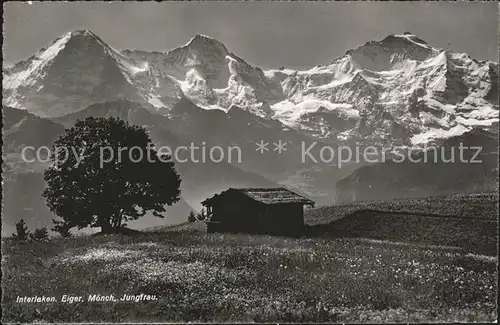 Interlaken BE Berghuette Eiger Moench Jungfrau Berner Alpen Gebirgspanorama Kat. Interlaken