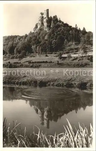 Neideck Burgruine Teich Kat. Heroldsbach