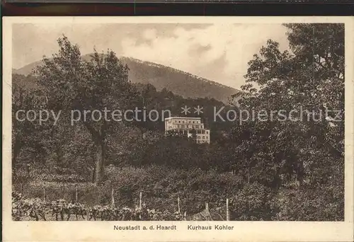 Neustadt Haardt Kurhaus Kohler Kat. Neustadt an der Weinstr.