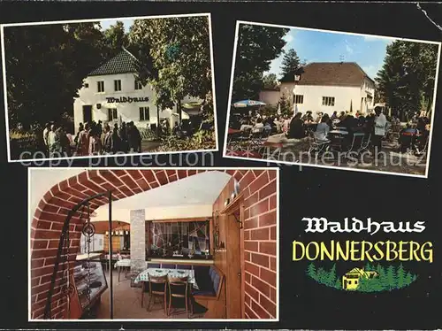 Donnersberg Waldhaus Kat. Dannenfels