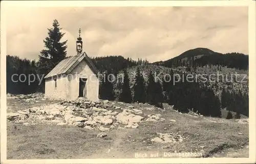 Winklmoos Winkelmoos Blick Duerrnbachhorn / Reit im Winkl /Traunstein LKR