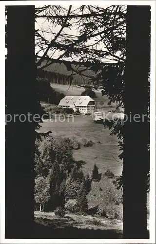 Alpersbach Gasthaus Pension zum Engel Kat. Hinterzarten