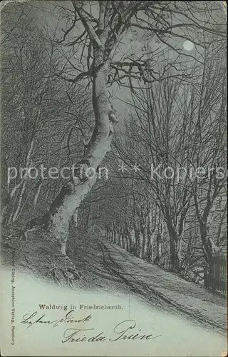 Friedrichsruh Hamburg Waldweg Kat. Hamburg